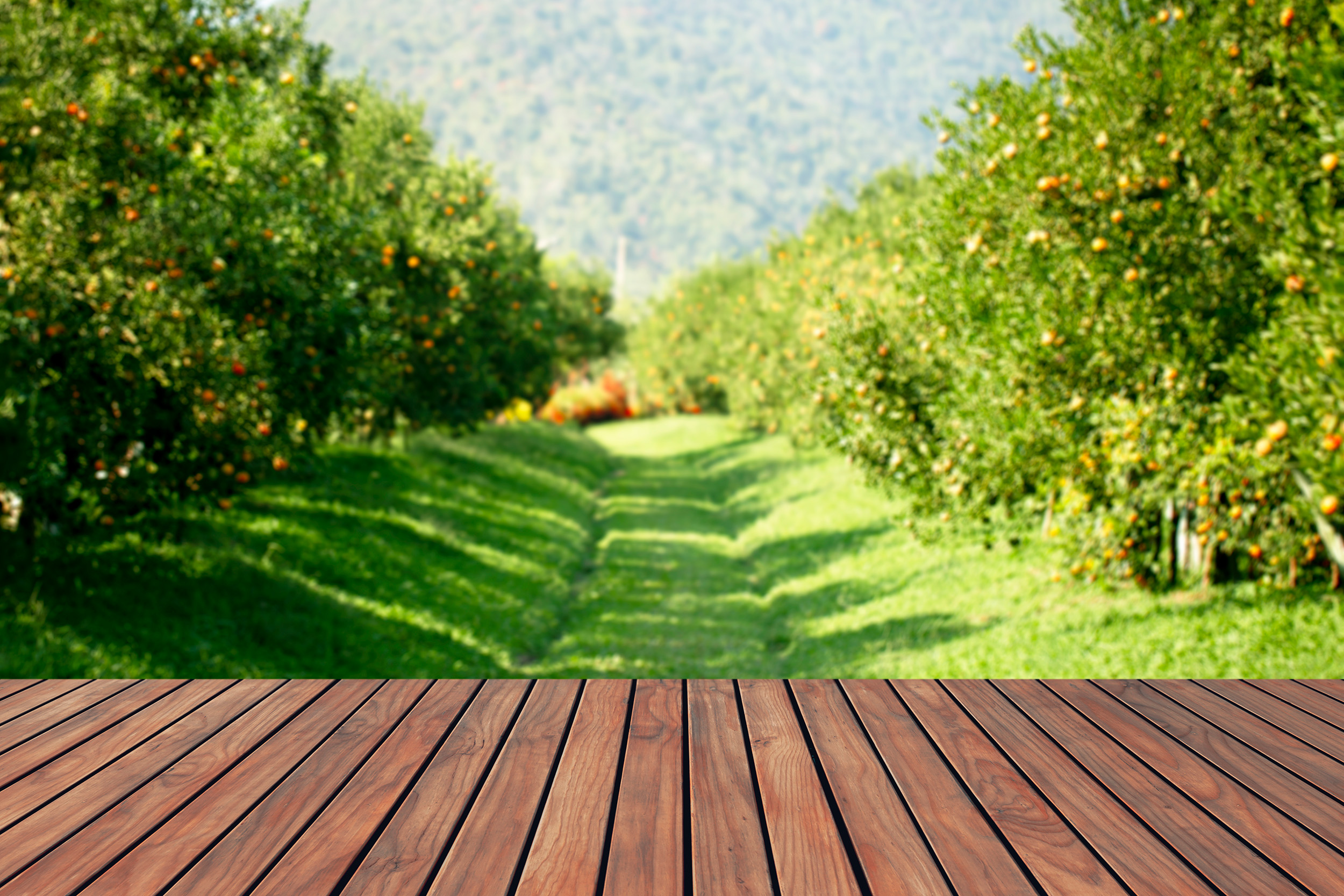 The 12 Best FarmtoTable Restaurants in Denver Pros Local Blog