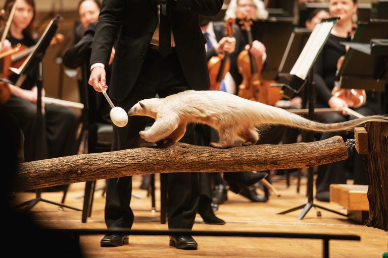 What to Do in Denver This Weekend: Mar 28-30th 