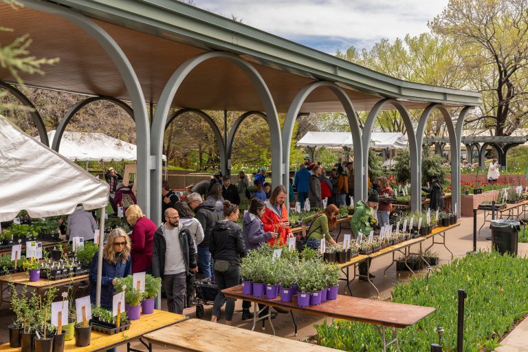 Denver weekend events May 9–11