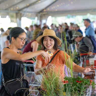 Denver weekend events September 26-28 2025