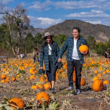 Denver Weekend Events Oct 10–12