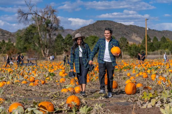 Denver Weekend Events Oct 10–12