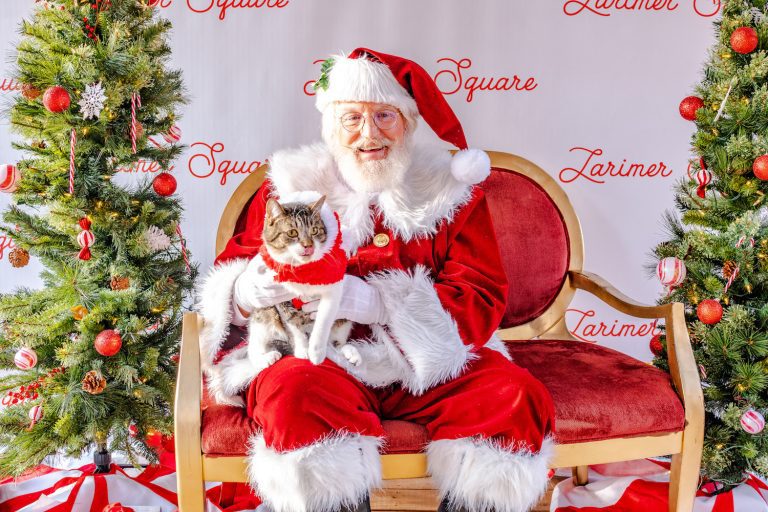 Denver Weekend Events Dec 5–7