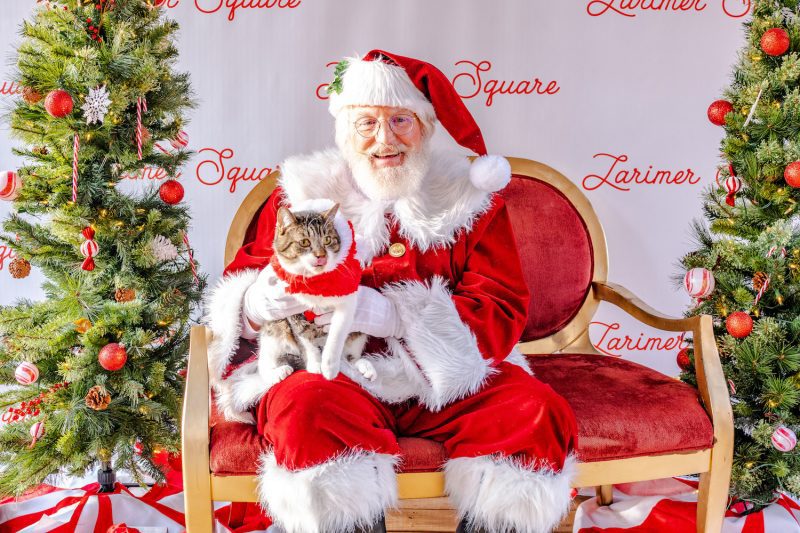 Denver Weekend Events Dec 5–7