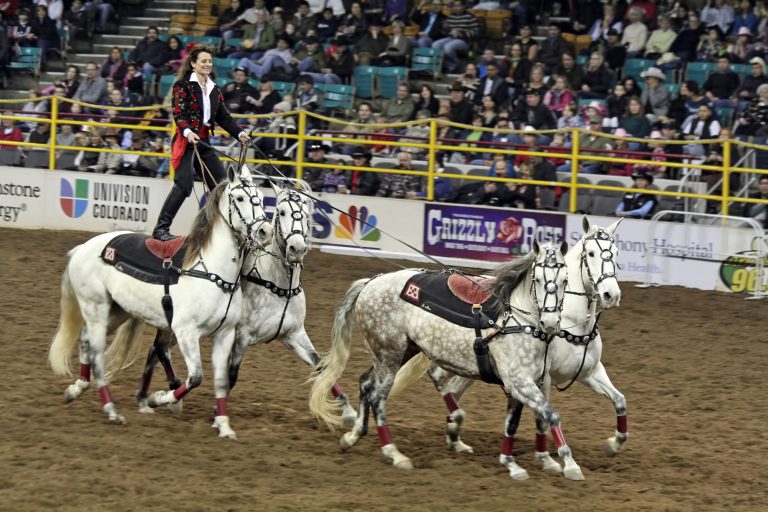 What to Do in Denver This Weekend Jan 9–11