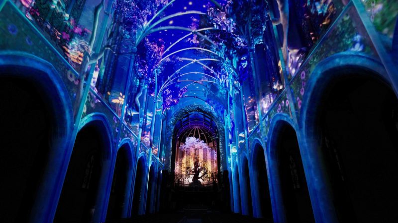 Things To Do In Denver This Weekend June 12–14 2026