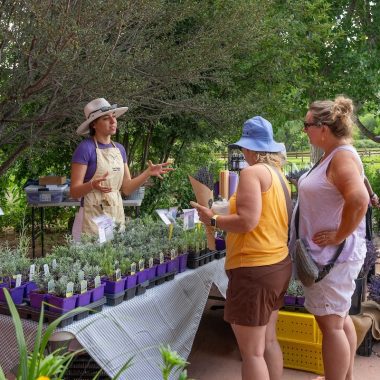 Things To Do In Denver This Weekend (July 17- 19 2026)