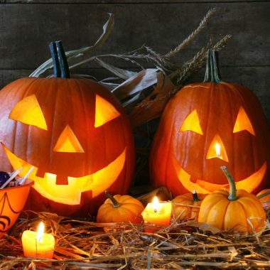 Things To Do In Denver This Weekend October 30th-November 1st 2026