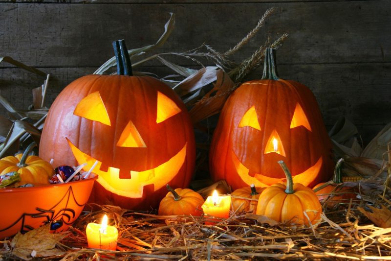 Things To Do In Denver This Weekend October 30th-November 1st 2026