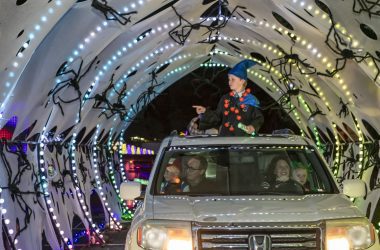 Things To Do In Denver This Weekend October 9-11 2026